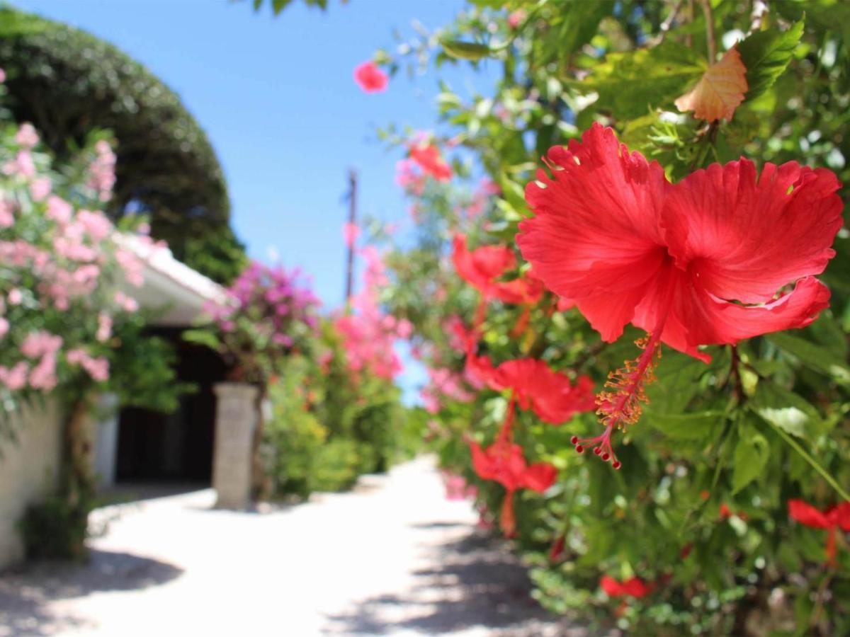 The Avance Hotel Ishigakijima - Vacation Stay 85735V Ishigaki  Exterior photo